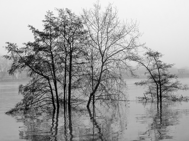 Après la pluie