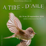 Expo - A tire-d'aile