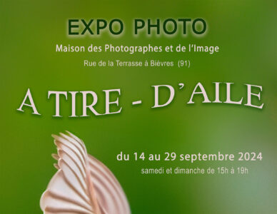 A tire-d’aile – 14 au 29 septembre 2024, les samedis et dimanches, de 15h à 19h, à la Maison des Photographes et de l’Image, rue de la terrasse à Bièvres (91). Le vernissage se tiendra le Samedi 14 sept à partir de 18h30.